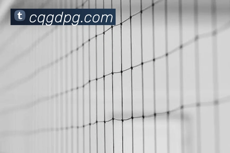 数据防护可视化